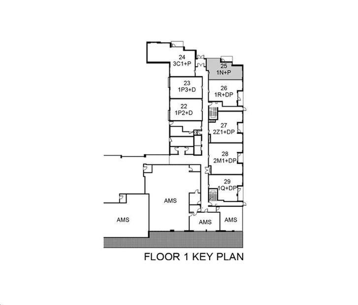 Alto At Atria 1N+P Key Plan