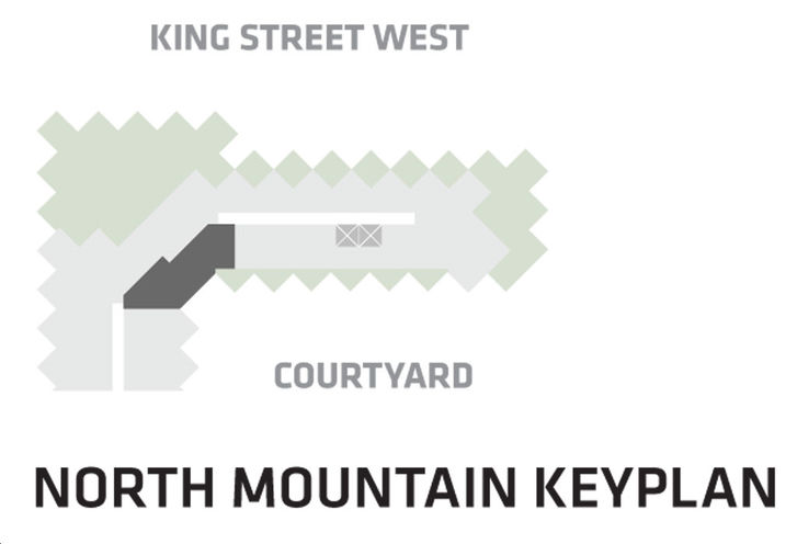 BIG King Toronto Condos Suite 1002- North Tower Key Plan