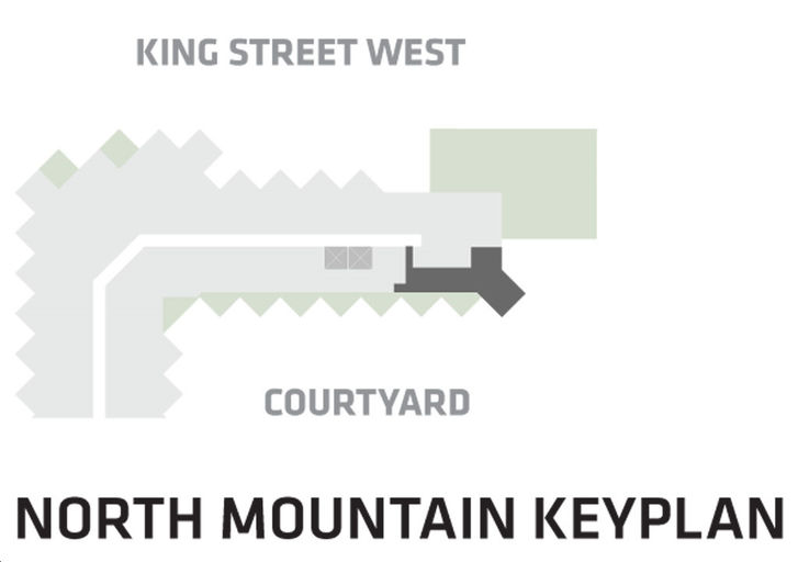 BIG King Toronto Condos Suite 509- North Tower Key Plan