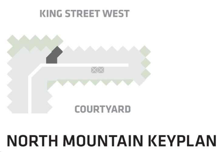 BIG King Toronto Condos Suite 705- North Tower Key Plan