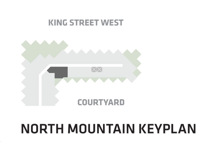 BIG King Toronto Condos Suite 802- North Tower Key Plan