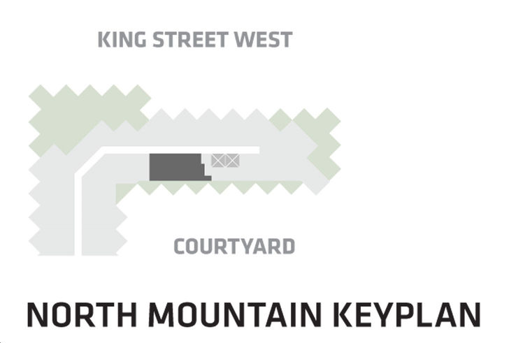 BIG King Toronto Condos Suite 901- North Tower Key Plan