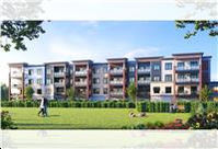 Creemore Condos