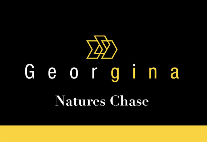 Georgina Homes Project Logo