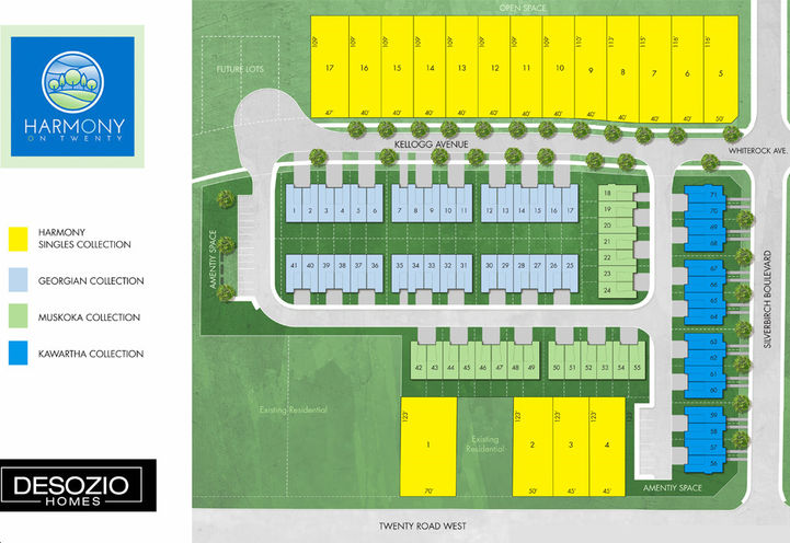 Harmony on Twenty Homes Aerial View of Project Site Plan