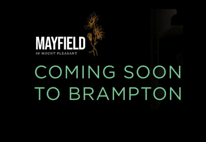 Mayfield in Mount Pleasant Homes Coming Soon 
