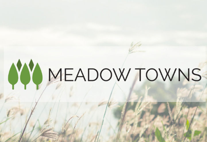 Meadow Towns Project Logo