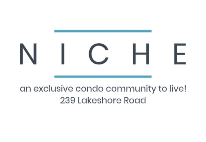 Niche Towns Project Logo