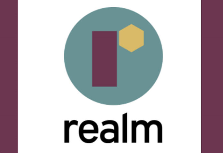 Realm Towns II Project Logo