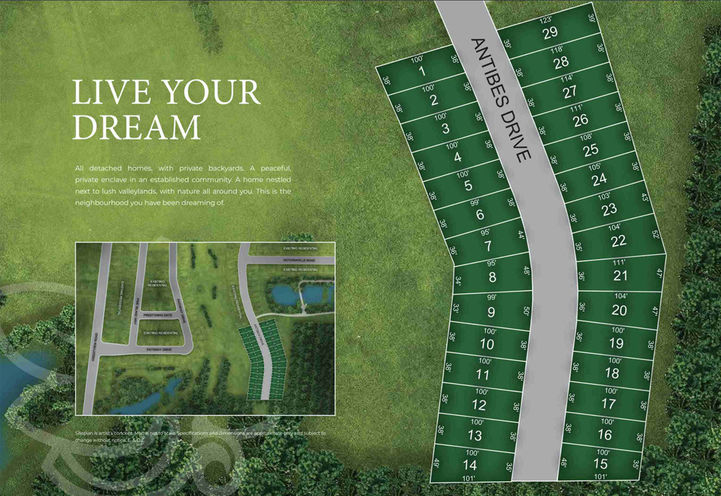 Spring Valley Village Homes Aerial View of Site Plan
