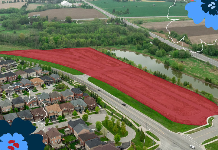 Townhomes of Little Rouge Aerial View of Project Site Plan