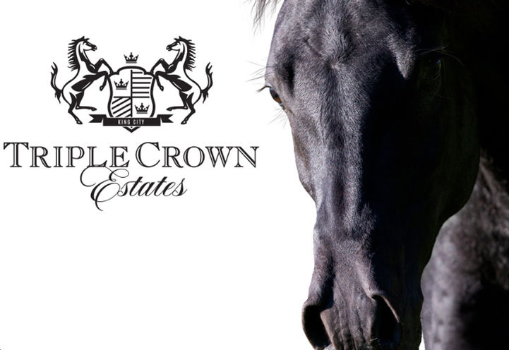 Triple Crown Estates Project Logo